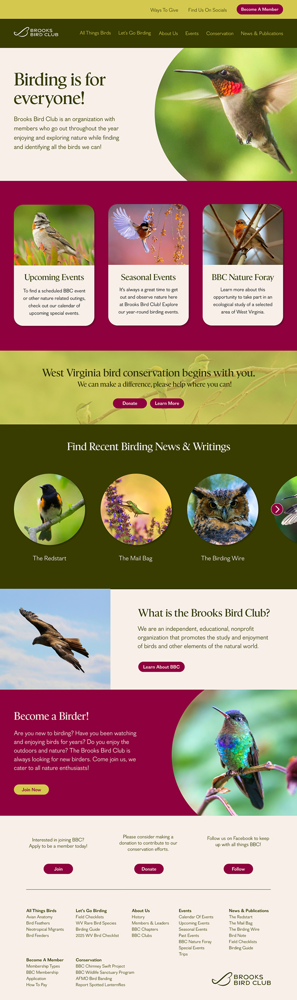 BBC home page design