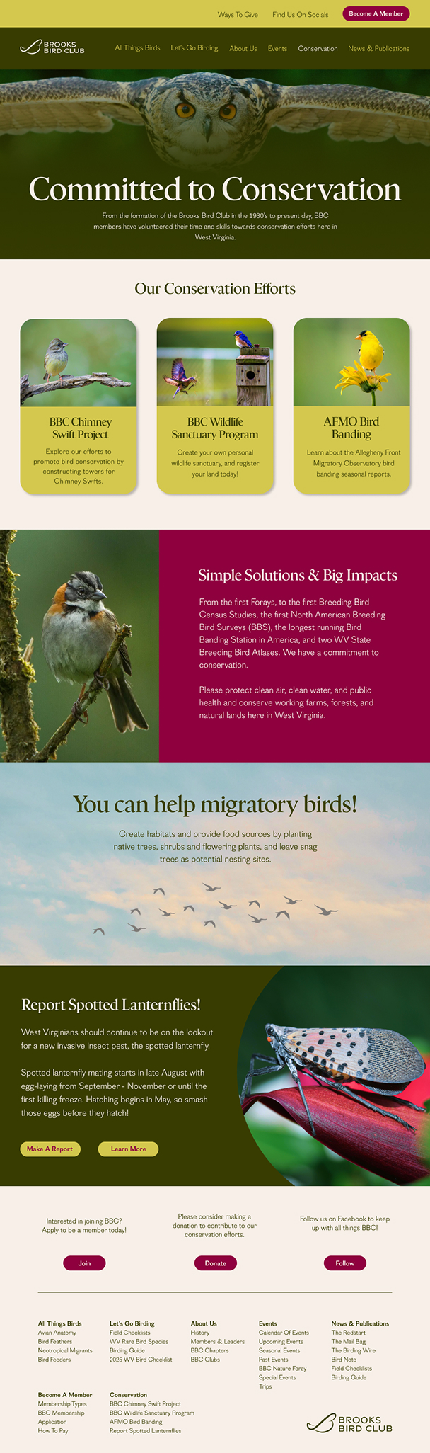 BBC Conservation page design