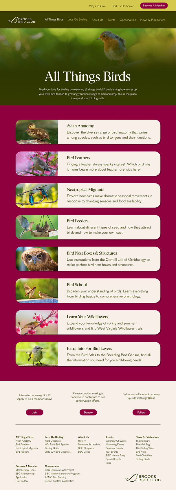 BBC All Things Birds page design