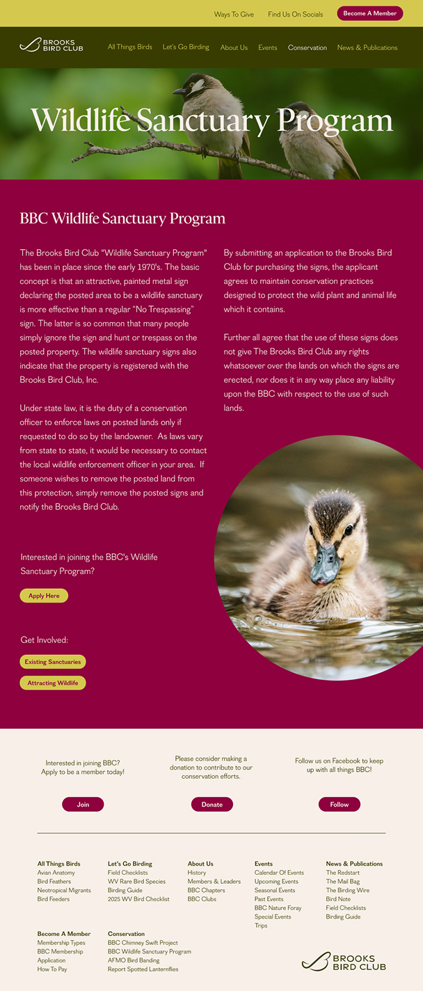 BBC Wildlife Sanctuary page design