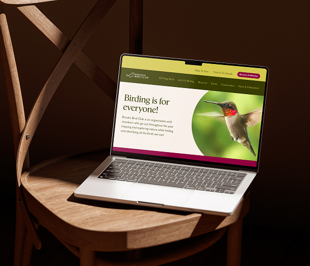 laptop displaying BBC website design