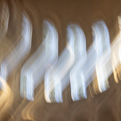 Abstract photography piece