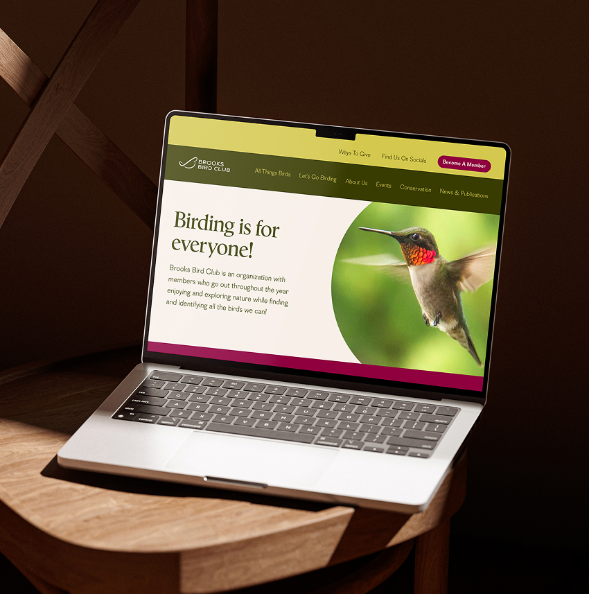 Laptop sitting open on a chair with the screen displaying the home page of the BBC website project