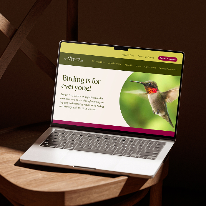 Laptop sitting open on a chair with the screen displaying the home page of the BBC website project